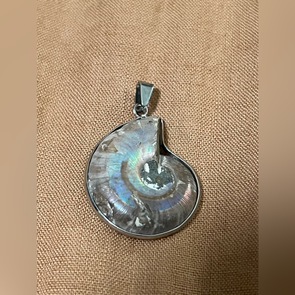 Nautilus Shell Cross Section Pendant